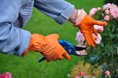 Professional hedge trimming service in a lush Barking garden
