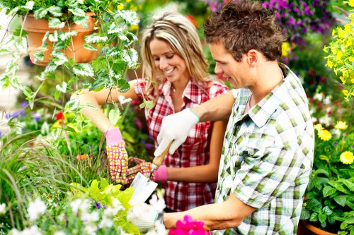 Garden tools and plants in Barking