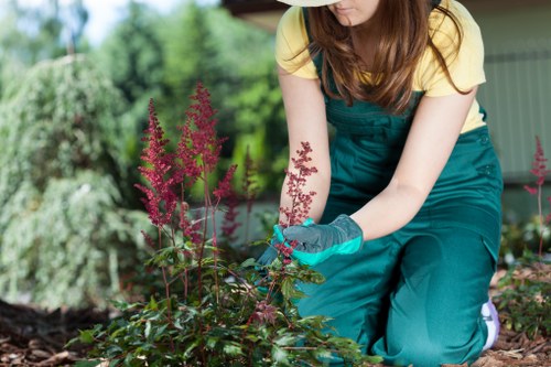 Site supervisor documenting insurance and liability paperwork during a clearance
