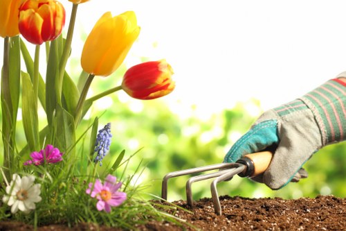 Professional garden clearance work being performed in Barking