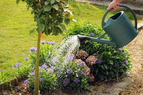 Different types of lawn mowers available