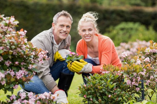 Pruning and trimming plants in Barking garden